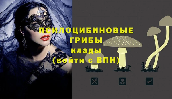 2c-b Алексеевка