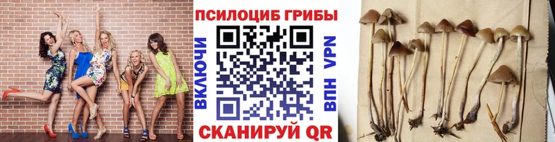 Галлюциногенные грибы Magic Shrooms  Сортавала 